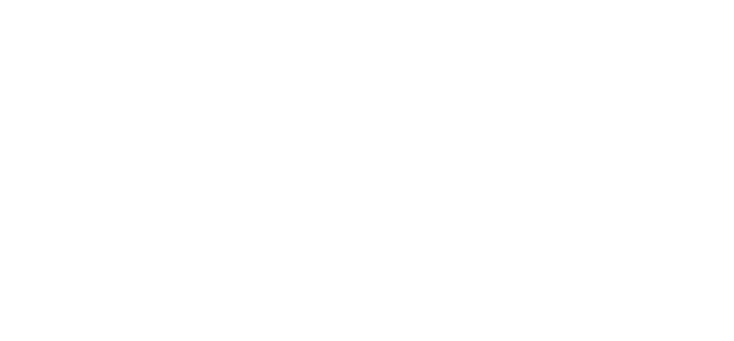 Amira